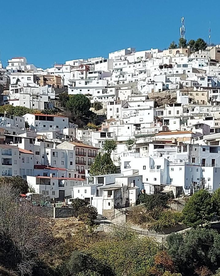 Albondon Cortijo Blanco 빌라 외부 사진