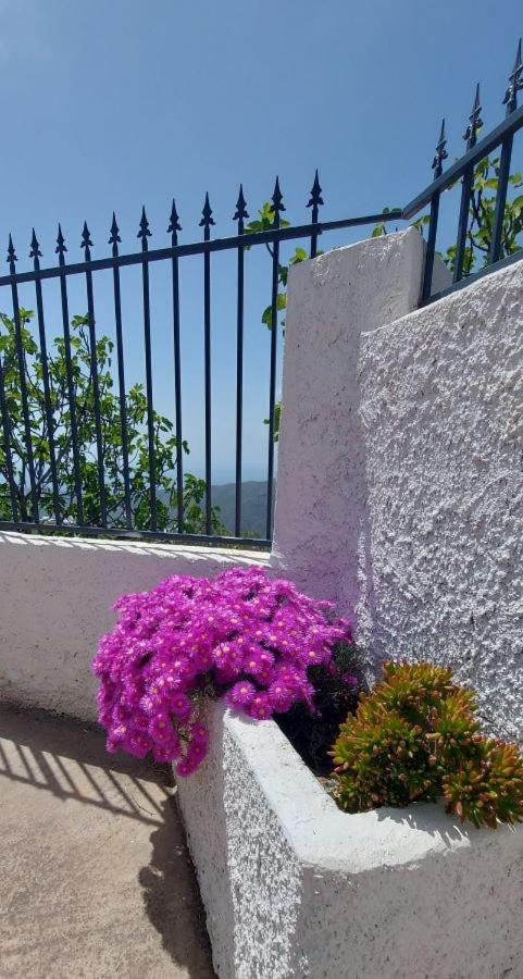 Albondon Cortijo Blanco 빌라 외부 사진